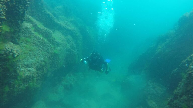 Karadeniz’de ‘mavi yol’ çalışmaları: Dalış turizmine uygun 43 nokta belirlendi