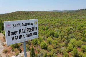 Tarım ve Orman Bakanlığı, 15 Temmuz Şehitleri ve Demokrasi Hatıra Ormanlarında bugüne kadar 300 bin fidanı toprakla buluşturdu