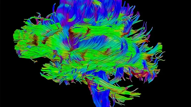 Beyin kanserinde çığır açan gelişme: Tümörün büyümesini geciktiren ilaç geliştirildi