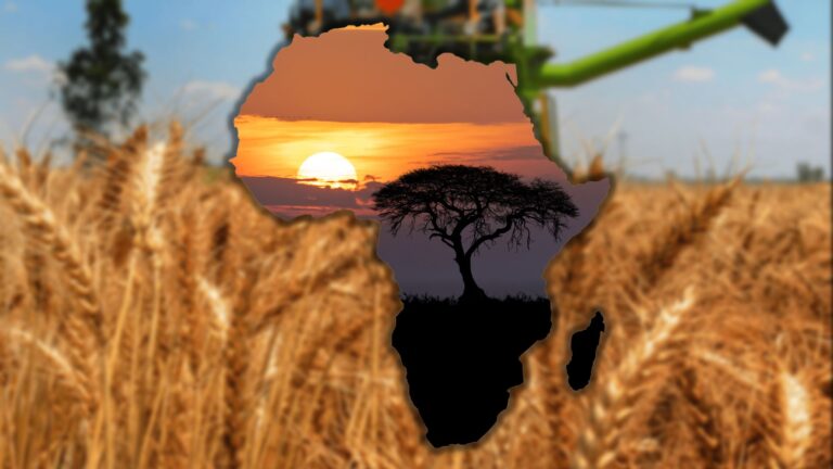 Rusya-Ukrayna Savaşında Afrika’nın Arabuluculuk Diplomasisi