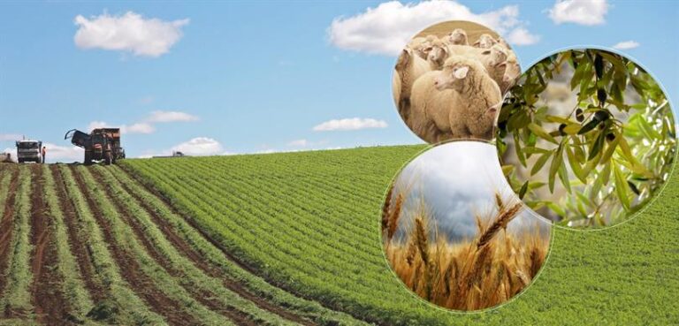 Dünden itibaren 237 Milyon 819 Bin TL Tutarında Ödeme üreticilerin hesaplarına aktarıldı