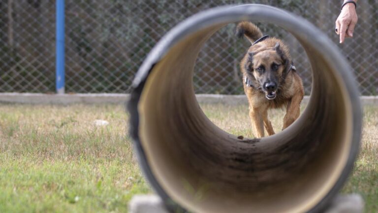 Depremde kardeşini kaybeden Leman Arslan kendini çocuklara adadı