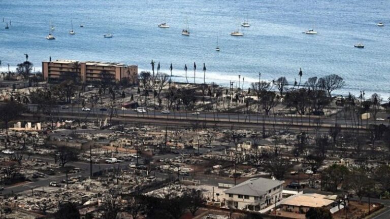 Hawaii orman yangınlarına ne sebep oldu?