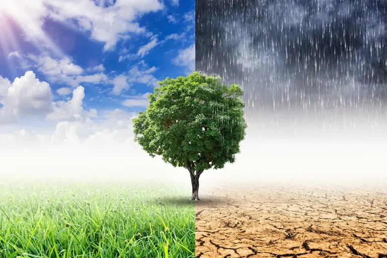 Aon: Aşırı iklim şartları nedeniyle çalışanlar için de acil durum planlarına ihtiyaç var