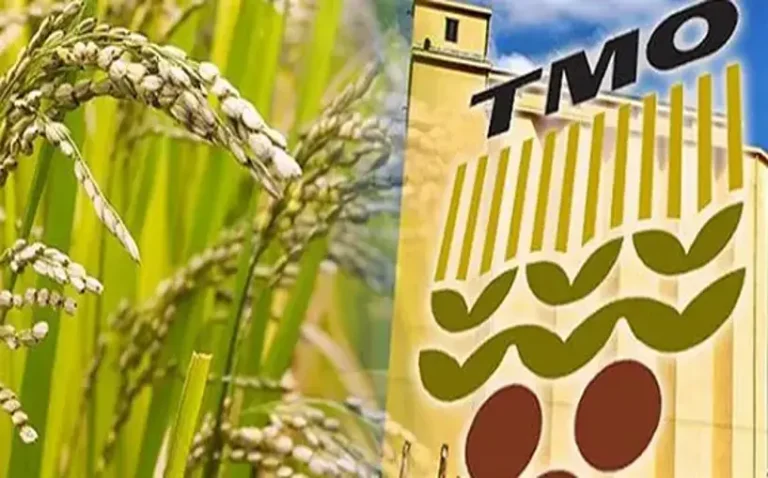 Bakan Yumaklı, “TMO hasat başlangıcından itibaren 5,7 Milyon ton hububat aldı”