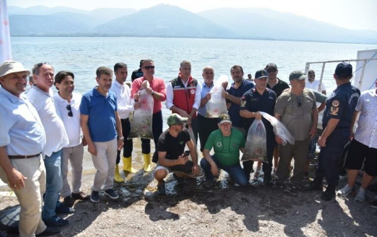 Sapanca Gölü’ne 100 bin sazan balığı salındı