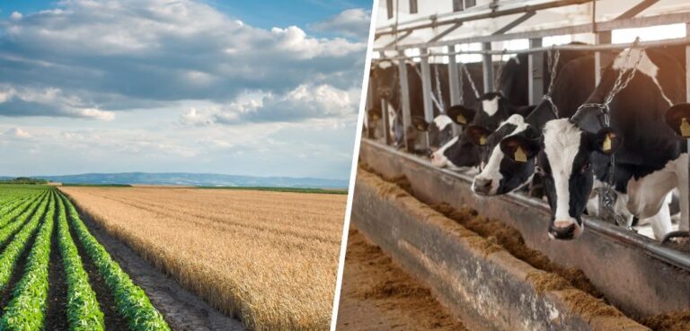 Tarım ve Orman Bakanı Yumaklı, Tarım Sayımı için ilk adımın atıldığını açıkladı