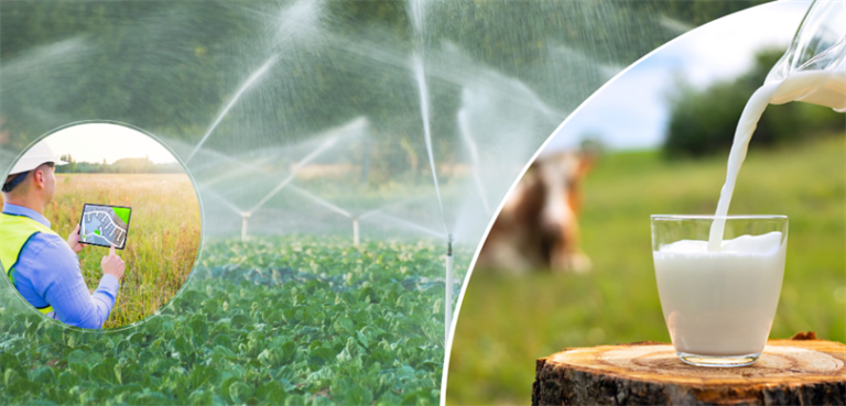 1,5 Milyar liralık tarımsal destekleme ödemesi hesaplara aktarıldı