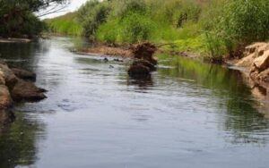 Ege Bölgesi’nin önemli tarımsal su kaynaklarından Gediz Nehri’nde kirlilik, 4. dereceye ulaştı
