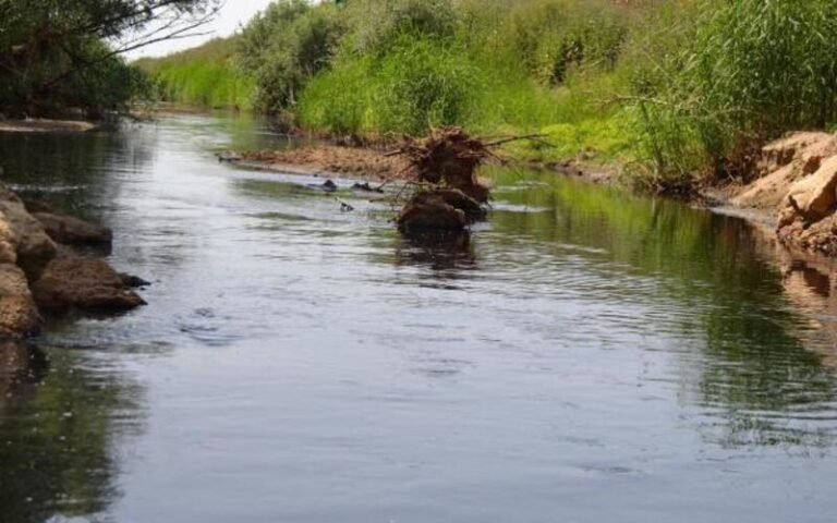 Ege Bölgesi’nin önemli tarımsal su kaynaklarından Gediz Nehri’nde kirlilik, 4. dereceye ulaştı