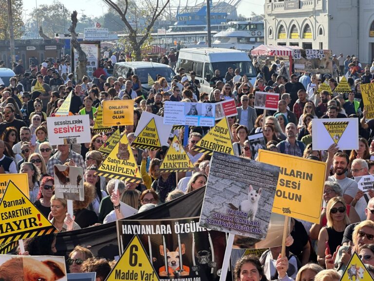 Hayvan Hakları Savunucuları Öldürme, Kısırlaştır ve Yaşat Dediler