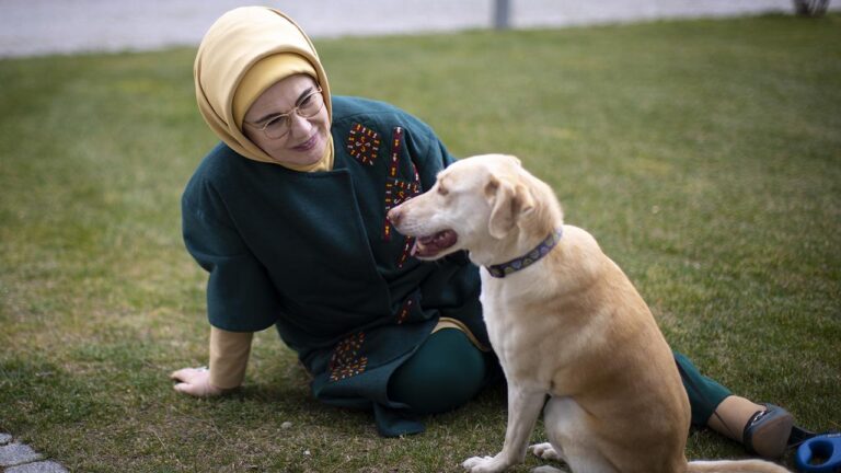 Emine Erdoğan: Hayvanları korumak vicdani yükümlülüğümüzdür
