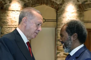Cumhurbaşkanı Erdoğan, Somali Cumhurbaşkanı Mahmud ile görüştü