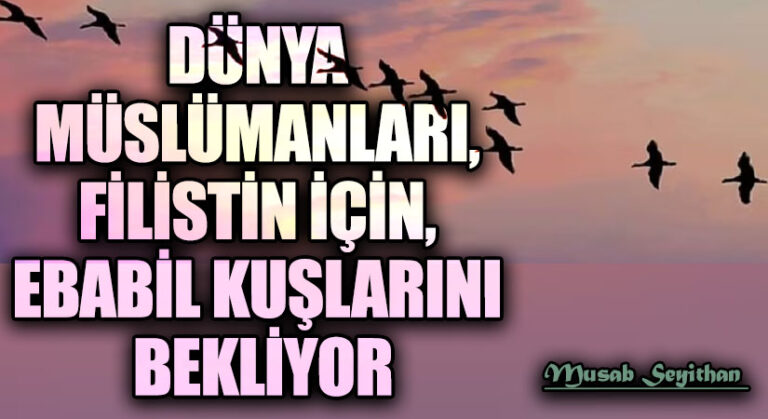 Etliye sütlüye karışmayan, “Marka Müslümanı”