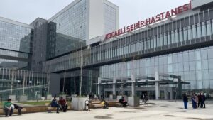Kocaeli Valiliği Ölümlerle İlgili İddiaları Araştırmalı ve Kamuoyunu Bilgilendirmeli!