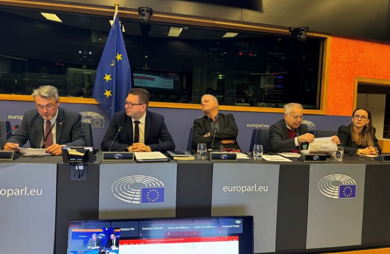 ABTTF, AP Azınlıklar İntergrubu’nda Batı Trakya Türk toplumunun eğitim sorunlarını dile getirdi