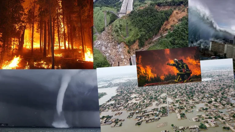 Cumhurbaşkanı Erdoğan, “Sellerle, fırtınalarla, orman yangınlarıyla daha sık karşılaşmaya başladık”