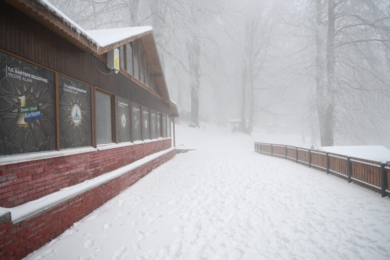 Kocaeli’nin Kartepe mesire alanında kar keyfi