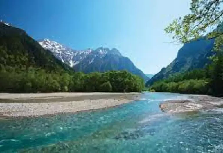 Havza Su Yönetimi Kurumsal Yapısı Nasıl Olmalı ?