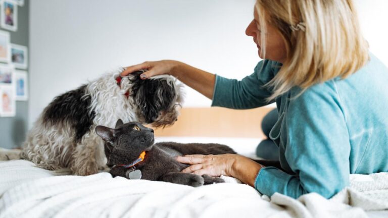 2,8 milyon dolarlık servetini evcil hayvanlarına bıraktı