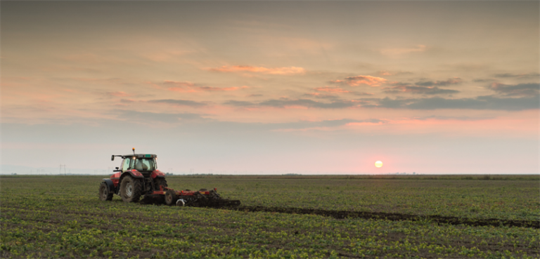 Deprem bölgesindeki atıl tarım arazileri fide ve tohum desteğiyle üretime kazandırılıyor