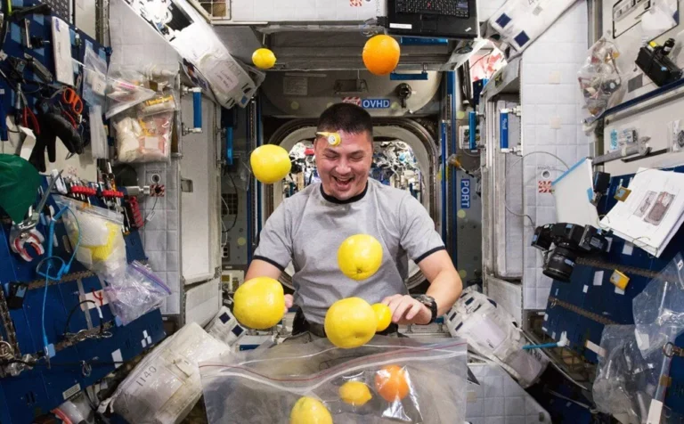 Uzayda Hangi Besinler Tüketilir? Hangileri Tüketilemez?