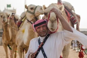 Deve Yılı: Suudi Arabistan en çok imrenilen hayvanını kutluyor