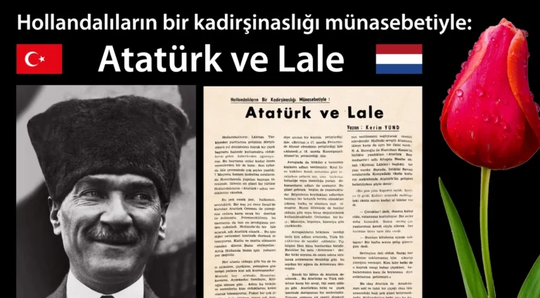 Hollandalıların, şükran borcu olarak ürettikleri Atatürk ve İstanbul türü lale, baharın müjdecisi, aşkın ve romantizmin sembolü …