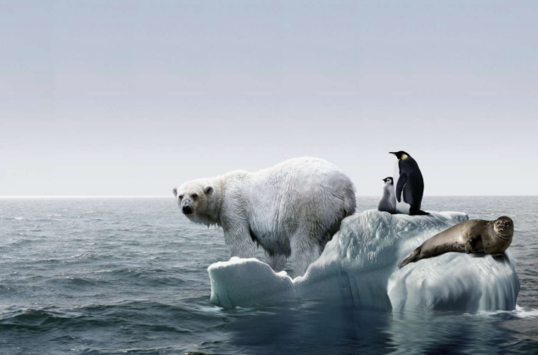 BM: Dünya küresel ısınma sınırını aşmaya hiç bu kadar yakın olmadı