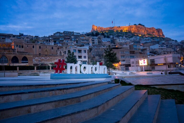 Cumhurbaşkanı Erdoğan: “Mardin’in tercihinin eser ve hizmet siyasetinden yana olacağına inanıyorum”