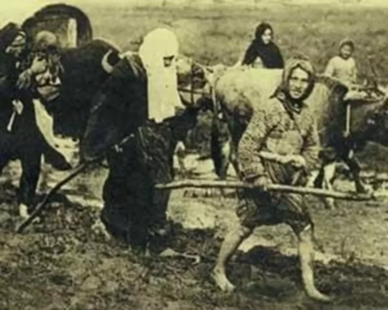 Türk Kadınını takdimimdir!