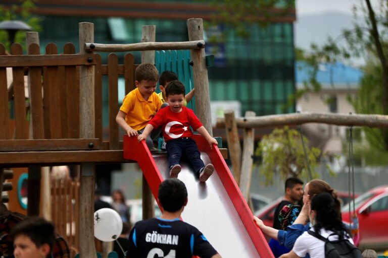 Sosyal ve Ekonomik Destek (SED) ödemeleri yatırılmaya başladı
