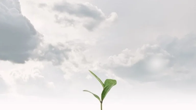 Gezegenin geleceği için teknoloji ve sürdürülebilirliğin önemi