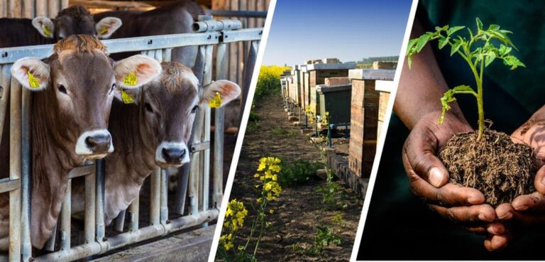 Çiftçilere 72,5 milyon liralık tarımsal destekleme ödemesi yapıldı