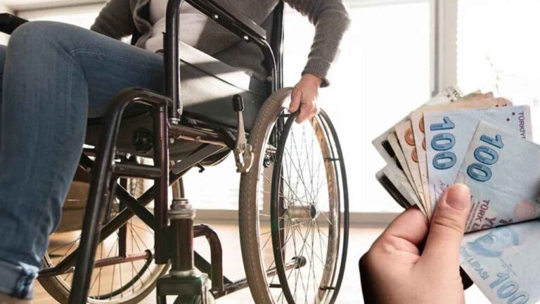 CHP Kocaeli Milletvekili Prof. Dr. Mühip Kanko, engellilerin emekli maaşlarıyla ilgili beklentilerini meclise taşıdı