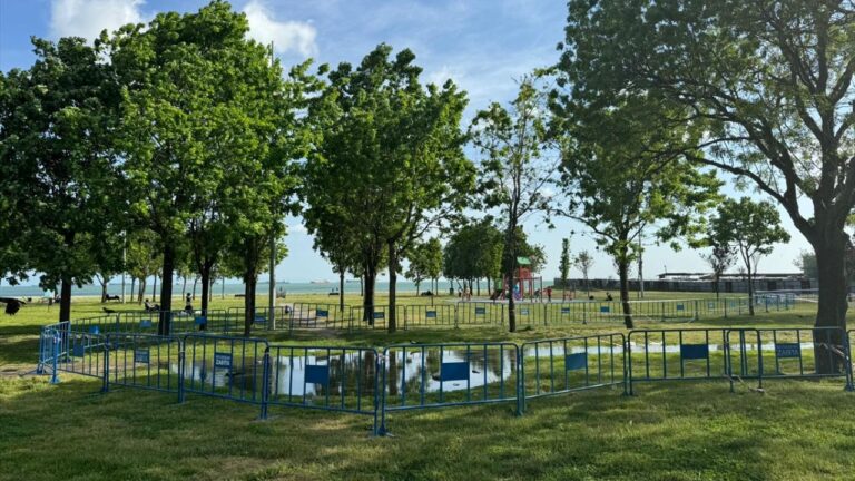 Edanur’un ölümüne neden olan İBB ihmaline ilişkin firari şüpheli hakimliğe sevk edildi