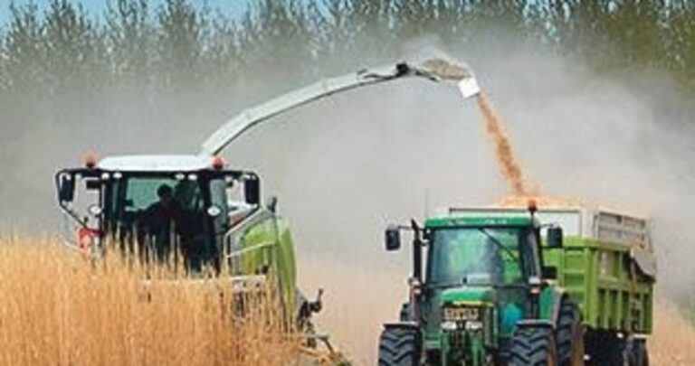 Bakan Yumaklı: Türkiye’nin tarımsal hasılası 68,5 milyar dolara ulaştı