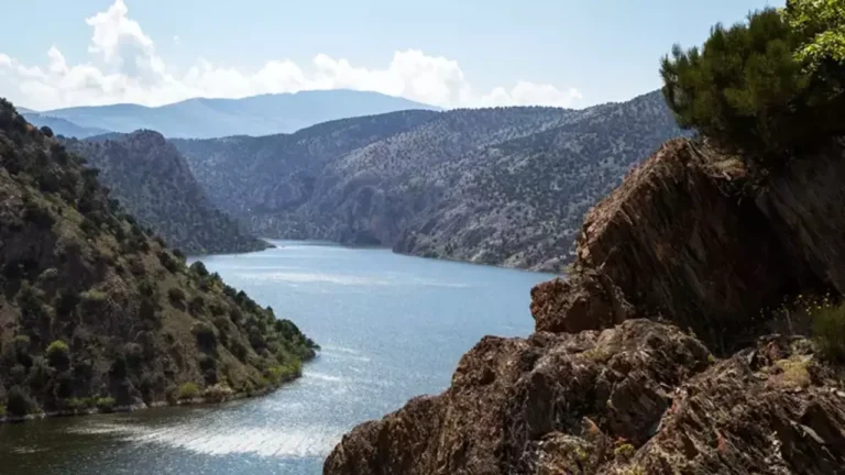 Su Politikaları Derneği Yönetim Kurulu Başkanı Yıldız, “Hedefimiz Su Politikaları Enstitüsü kurmak”