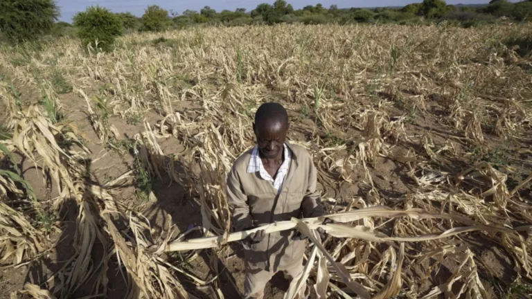Güney Afrika’da aileler kızlarını yiyecek karşılığında evlendiriyor