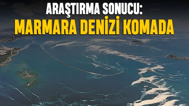 Prof. Dr. Mustafa Yücel, “Marmara Denizi’ndeki deniz suyu sıcaklığındaki artış daha az oksijen çözülebilmesine ve kirlilik artışına neden oluyor”