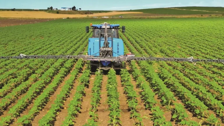 Tarımsal kalıntıya yapay zekalı çözüm