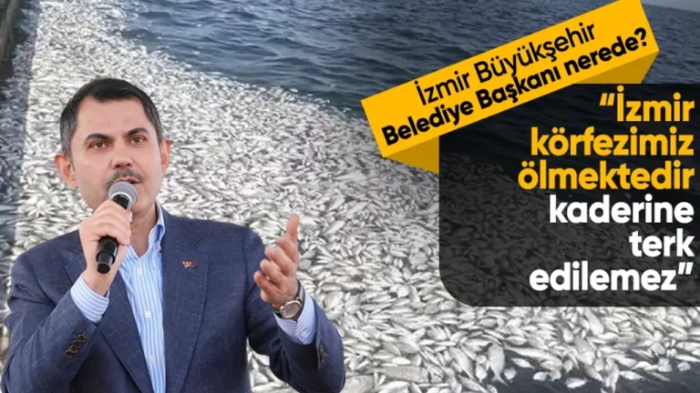 Bakan Kurum: Bugün Körfez’de yaşanan çevre felaketidir, bu kirliliğin sorumlusu belediyelerdir