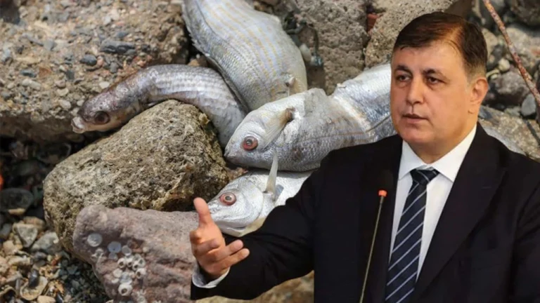 Cemil Tugay’dan Bakan Kurum’a cevap: İl Başkanı gibi basın toplantısı yaparak…