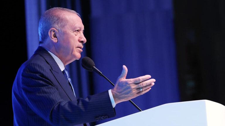 Cumhurbaşkanı Erdoğan: Bu kılıçları kime çekiyorsunuz?