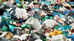 Dünyanın baş belası: Plastik ve atıkları