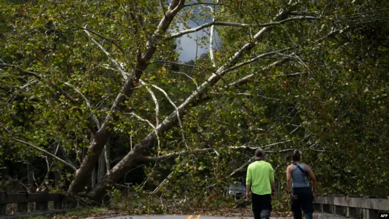 215 kişinin öldüğü Helene Kasırgası’nın ardından kayıpları arama çalışmaları ikinci haftasında