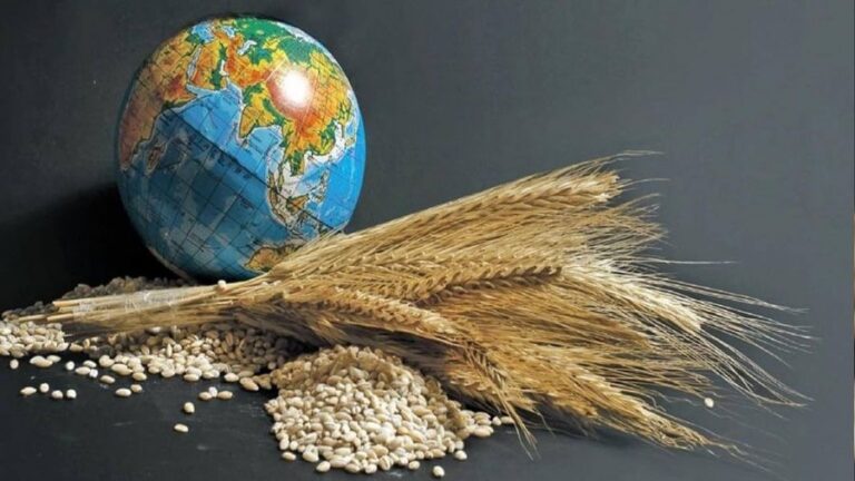Küresel gıda fiyatlarında 18 ayın en hızlı artışı!