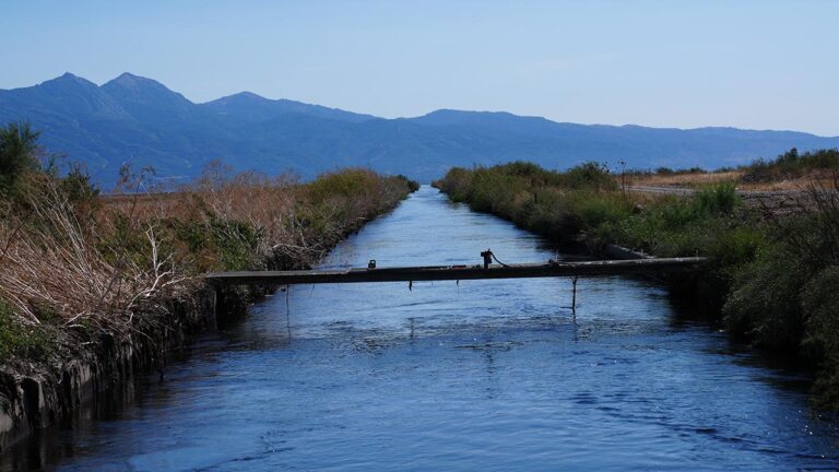 İzmir Körfezi’ne ‘nefes’ olacak eylem planı bugün açıklanacak