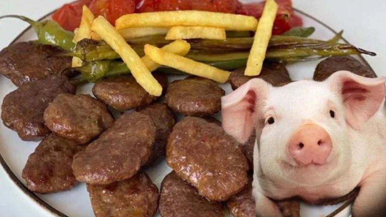 CHP Kocaeli Milletvekili Prof. Dr. Mühip Kanko: CHP Kocaeli Milletvekili Prof. Dr. Mühip Kanko: Devletin Önceliği Halkın Sağlığını Korumaktır, Büyük Firmaları Korumak Değildir! 