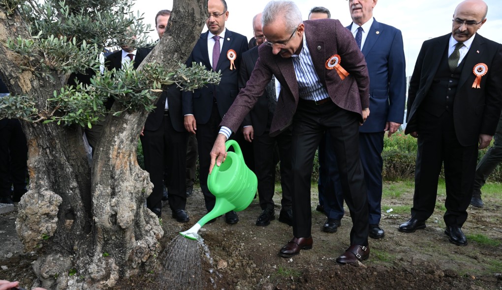 Bakan Uraloğlu, “Karayolları Genel Müdürlüğü tarafından 76,5 milyon, kamu-özel iş birliği projeleri kapsamında ise 20,2 milyon olmak üzere toplam 96,7 milyon fidan toprakla buluştu”